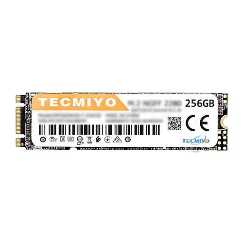 Ssd Tecmiyo 256gb M.2 2280 (1y)