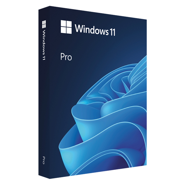 Windows 11 Professional 64bit Oei (N/W)