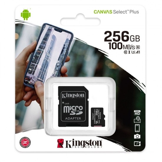 Micro Sd Kingston 256gb Class-10 (1y)