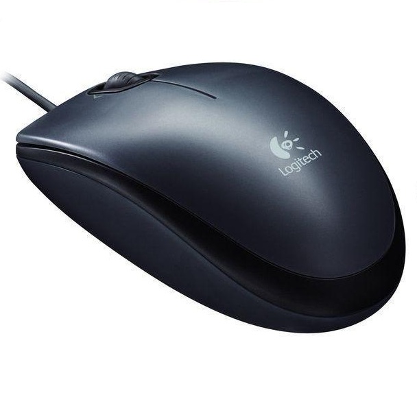Mouse Logitech B100 Optical Usb (1y)